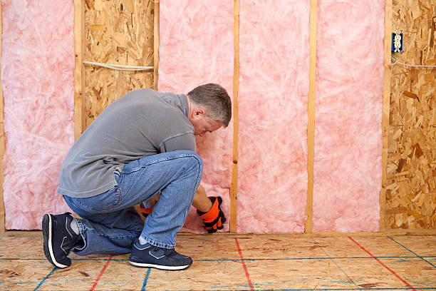 Best Types of Insulation in Gordo, AL